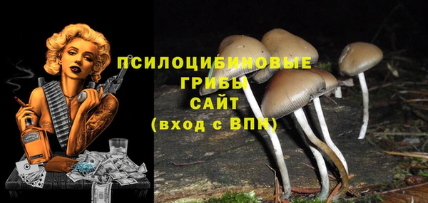 кокс Алексеевка